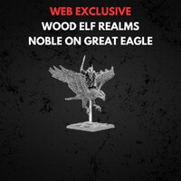 Wood Elf Realms Noble on Great Eagle Warhammer The Old World