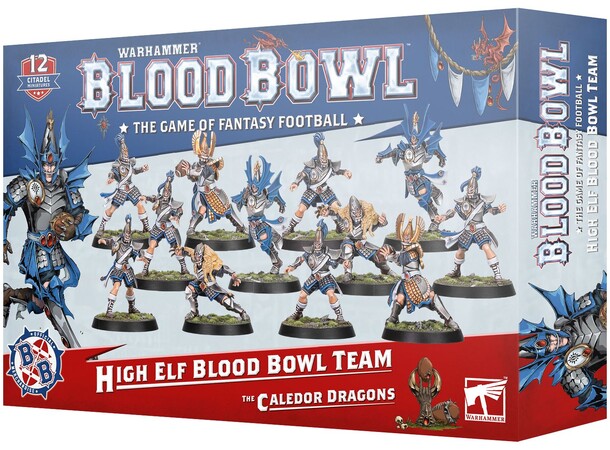 Blood Bowl High Elf Team The Caledor Dragons 