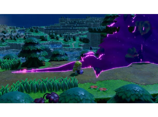 Legend of Zelda Echoes of Wisdom Switch 