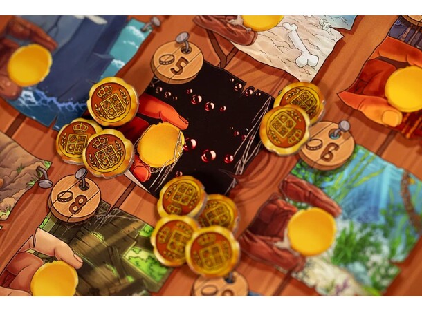 Toriki The Castaway Island Brettspill 