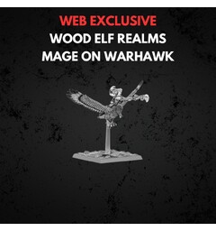 Wood Elf Realms Mage on Warhawk Warhammer The Old World