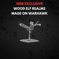 Wood Elf Realms Mage on Warhawk Warhammer The Old World