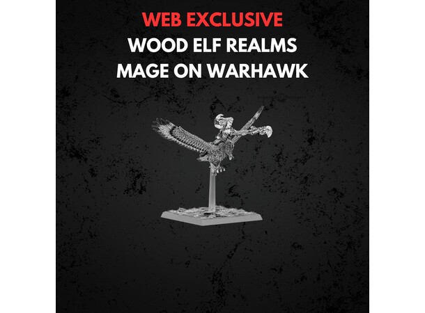 Wood Elf Realms Mage on Warhawk Warhammer The Old World 