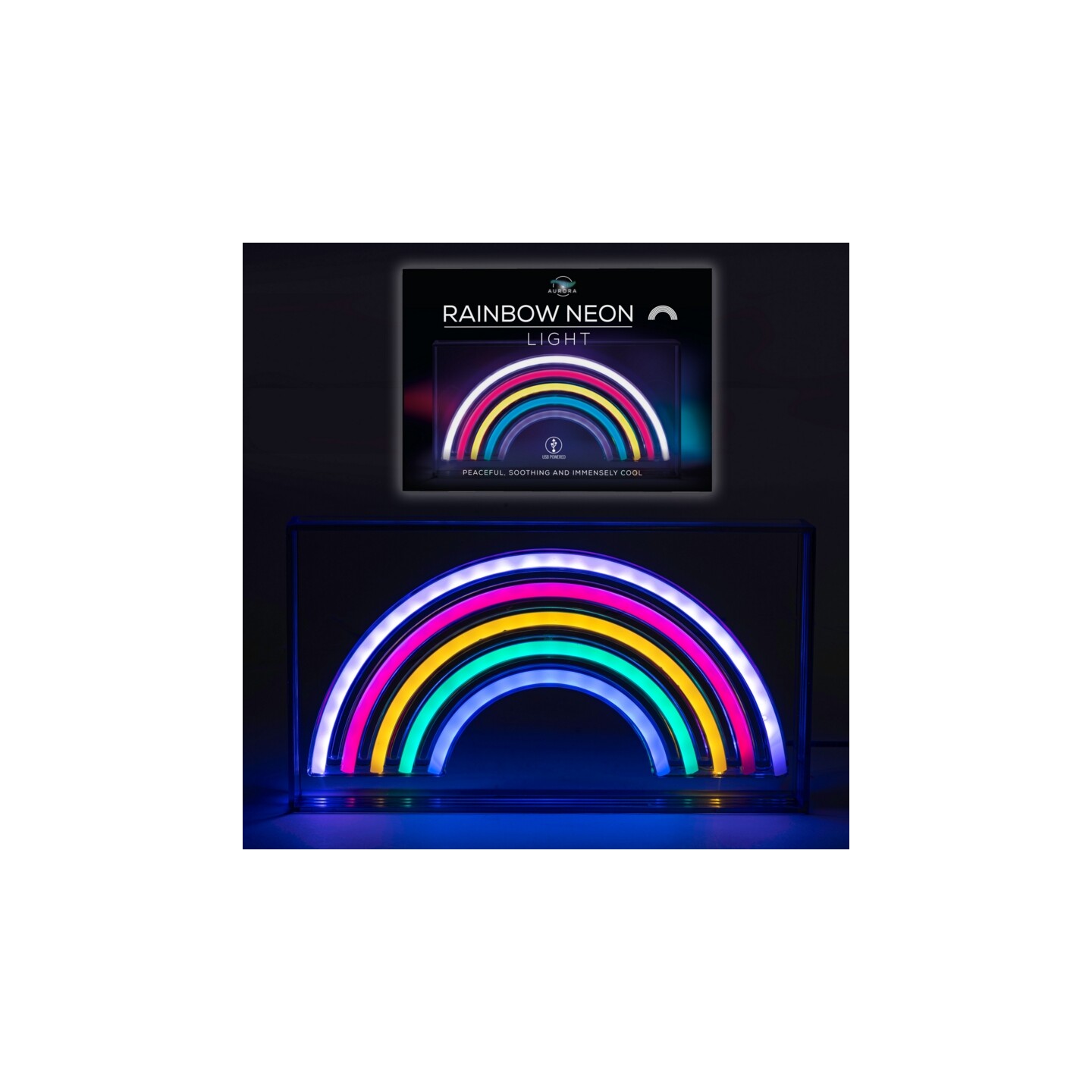 Rainbow LED Neon Light