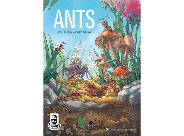 Ants Brettspill 