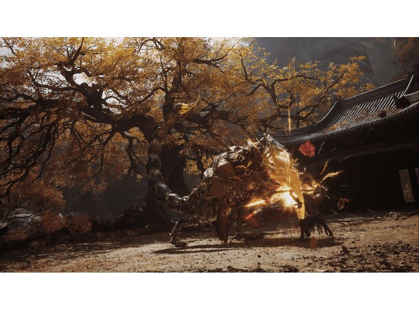 Black Myth Wukong PS5 