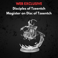 Disciples of Tzeentch Magister on Disc Warhammer Age of Sigmar