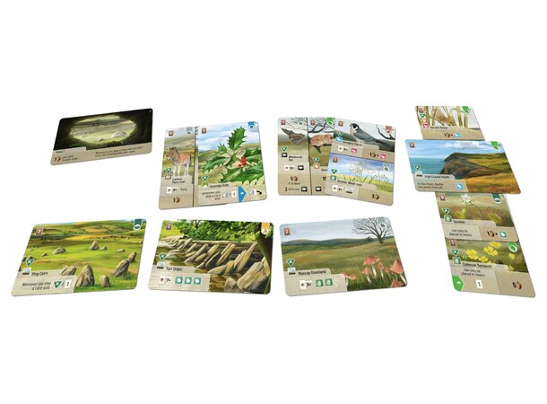 Forest Shuffle Dartmoor Exmoor Exp Utvidelse til Forest Shuffle 