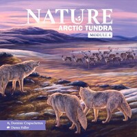 Nature Arctic Tundra Expansion Utvidelse til Nature