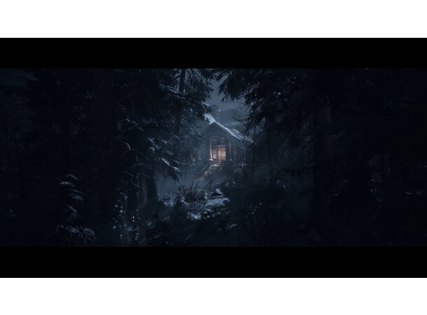Until Dawn PS5 