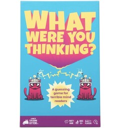 What Were You Thinking Partyspill