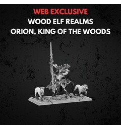 Wood Elf Realms Orion King of the Woods Warhammer The Old World
