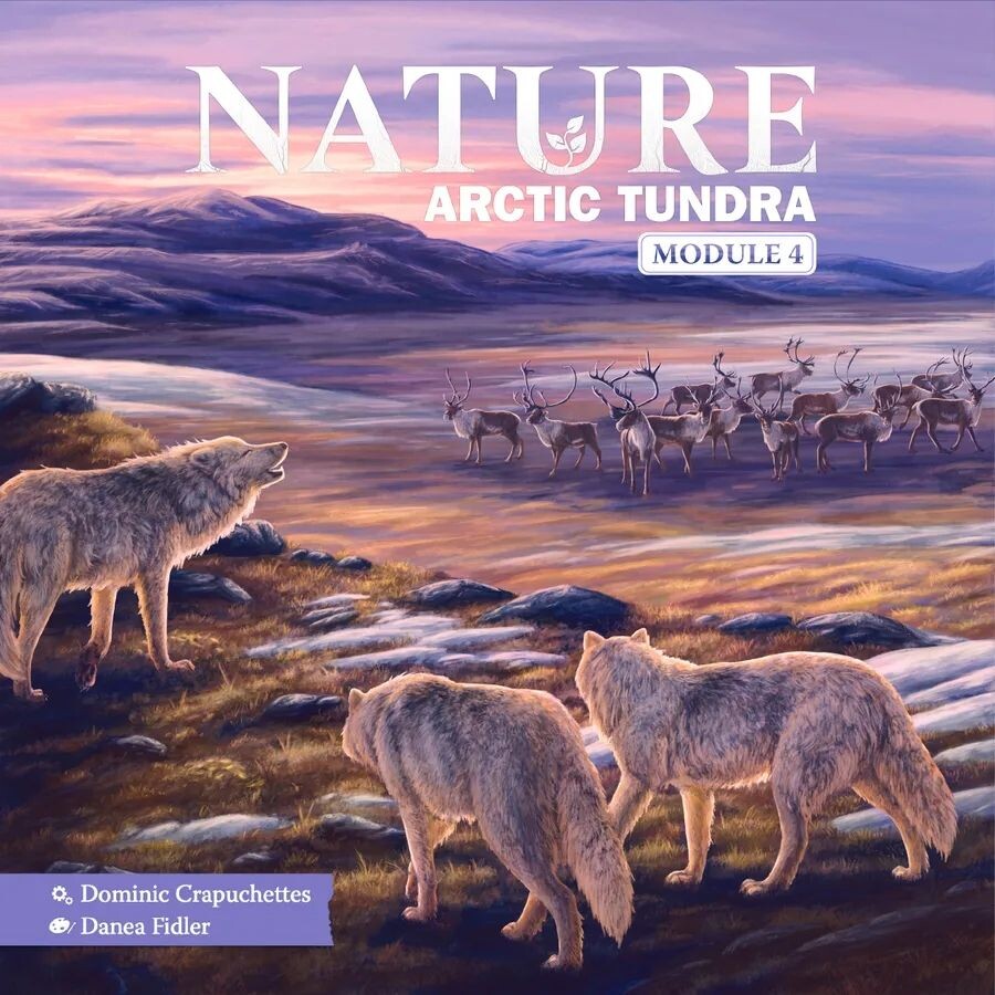Nature Arctic Tundra Expansion Utvidelse til Nature