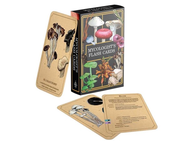 D&D 5E Mycologists Primer Flash Cards Dungeons & Dragons 
