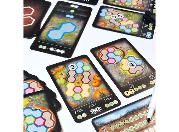 Fantastic Trails Brädspel 