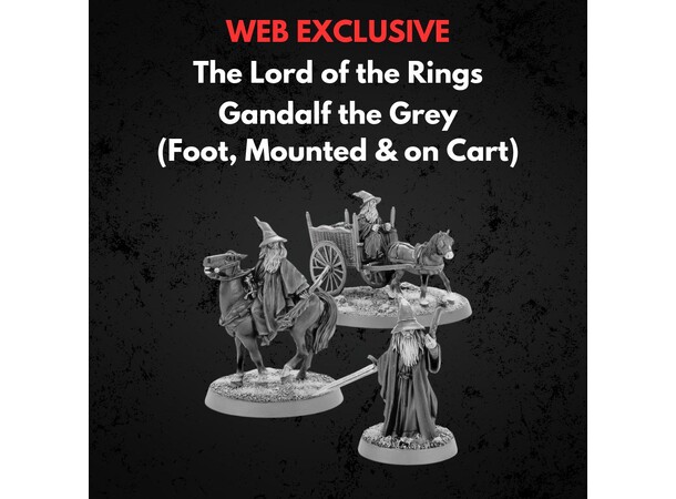 Gandalf the Grey Foot Mounted on Cart Middle-earth Strategy Battle Game 