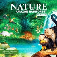 Nature Amazon Rainforest Expansion Utvidelse til Nature