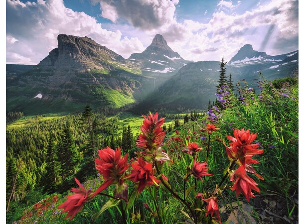 Pristine Mountains 2000 bitar Pussel Ravensburger Puzzle 