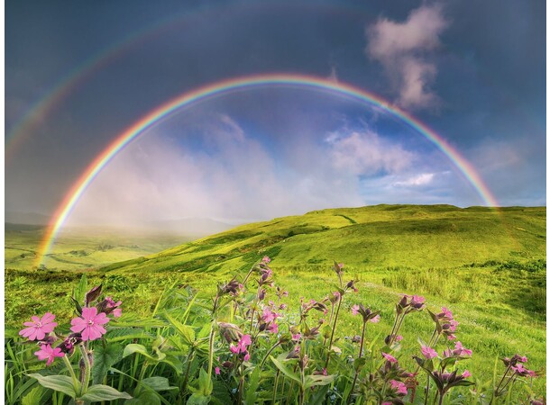 Rainbowscape 1500 biter Puslespill Ravensburger Puzzle 