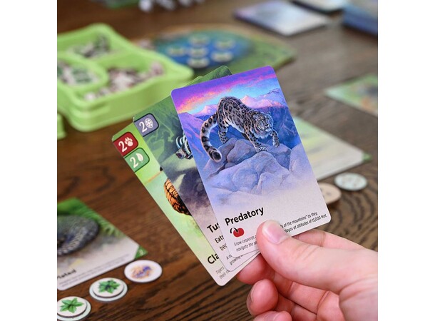 Nature Brettspill 