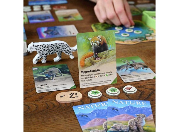 Nature Brettspill 