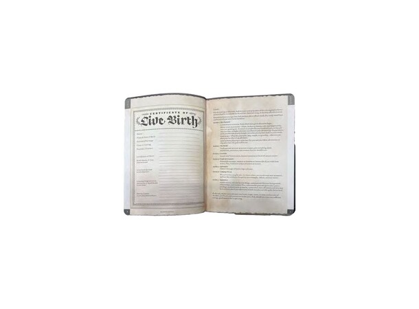 Notebook A5 Players Journal Beadle & Grimm 