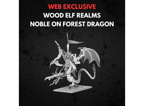 Wood Elf Realms Noble on Forest Dragon Warhammer The Old World 