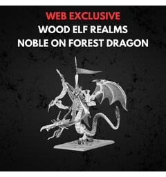 Wood Elf Realms Noble on Forest Dragon Warhammer The Old World