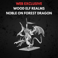 Wood Elf Realms Noble on Forest Dragon Warhammer The Old World