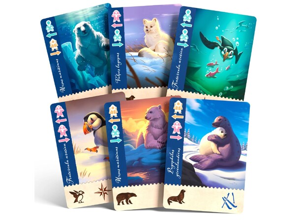 Borealis Arctic Expeditions Brettspill 