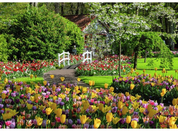 Keukenhof Gardens 1000 biter Puslespill Ravensburger Puzzle 