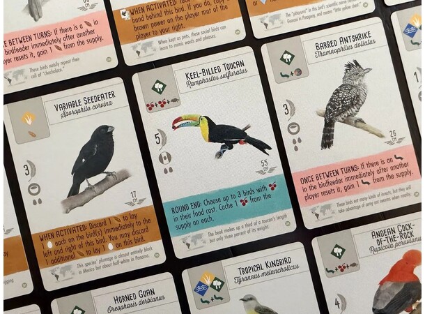 Wingspan Americas Expansion Expansion till Wingspan 