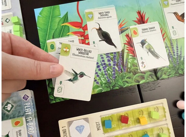 Wingspan Americas Expansion Expansion till Wingspan 