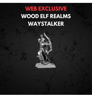 Wood Elf Realms Wood Elf Waystalker Warhammer The Old World