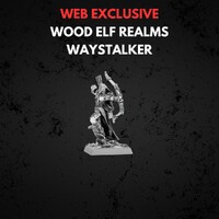 Wood Elf Realms Wood Elf Waystalker Warhammer The Old World