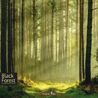 Black Forest Brädspel 