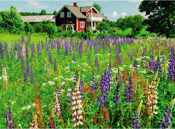 Farm in Sweden 500 biter Puslespill Ravensburger Puzzle 