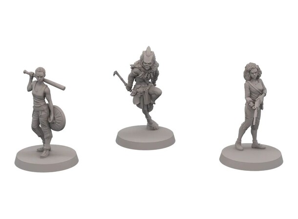 Final Girl Slaughter Groves Miniatures Utvidelse til Final Girl 