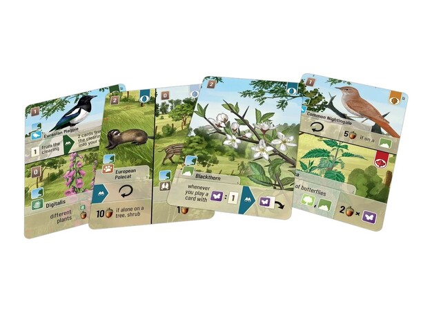 Forest Shuffle Woodland Edge Expansion Utvidelse til Forest Shuffle 