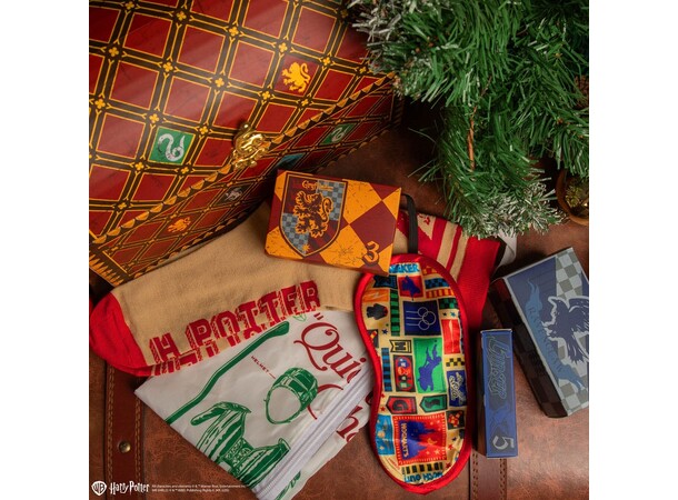 Harry Potter Julekalender Quidditch Advent Calendar 