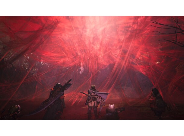 Monster Hunter Wilds PS5 