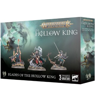 Soulblight Gravelords Blades Hollow King Warhammer Age of Sigmar