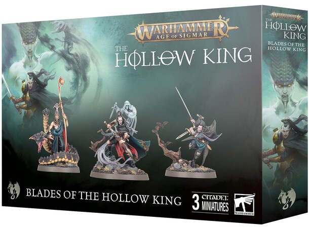 Soulblight Gravelords Blades Hollow King Warhammer Age of Sigmar 