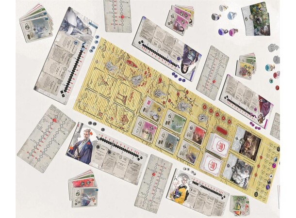 The Witcher Path of Destiny Ronin Brettspill 