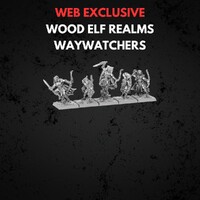 Wood Elf Realms Waywatchers Warhammer The Old World