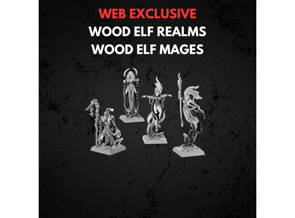 Wood Elf Realms Wood Elf Mages Warhammer The Old World 
