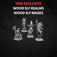 Wood Elf Realms Wood Elf Mages Warhammer The Old World