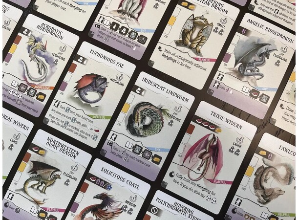 Wyrmspan Dragon Academy Expansion Utvidelse til Wyrmspan 