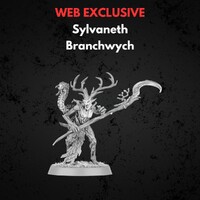 *Sylvaneth Branchwych Warhammer Age of Sigmar