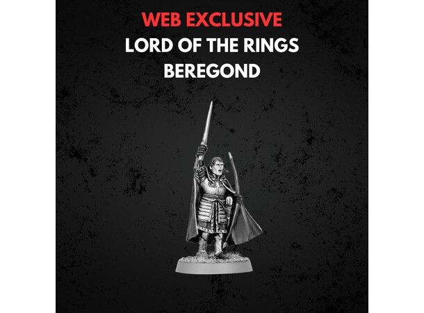 Beregond Guard of the Citadel Middle-earth Strategy Battle Game 